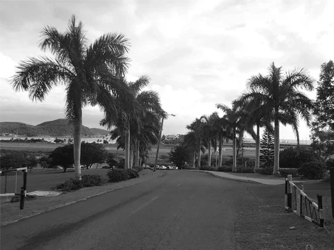 University of the Virgin Islands.jpg