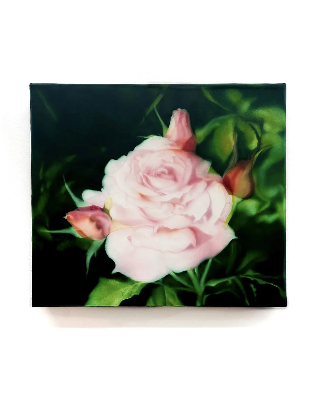   Dolly , 2025, oil on canvas, 14 x 16 in  