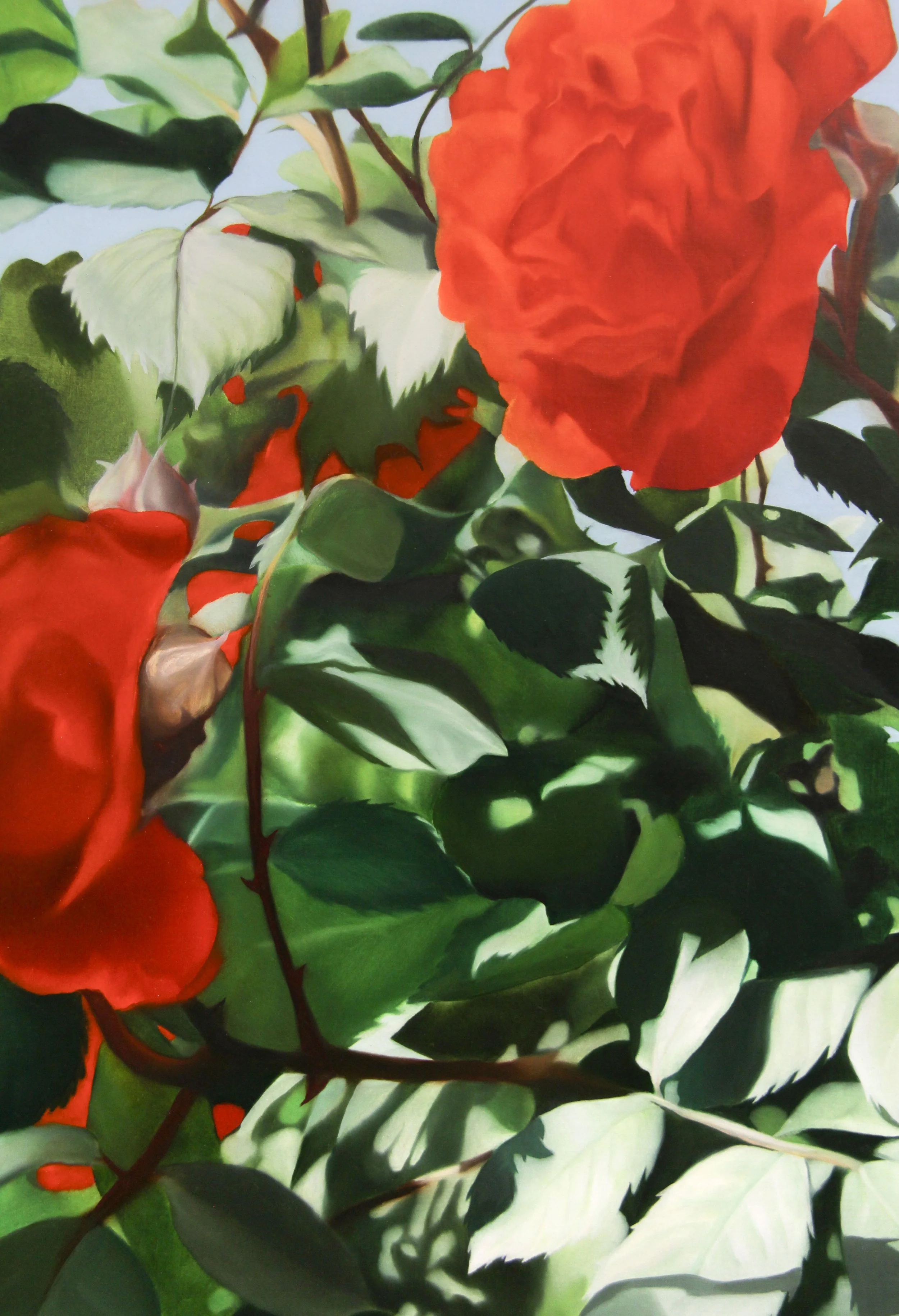 Mister Lincoln_02.jpg