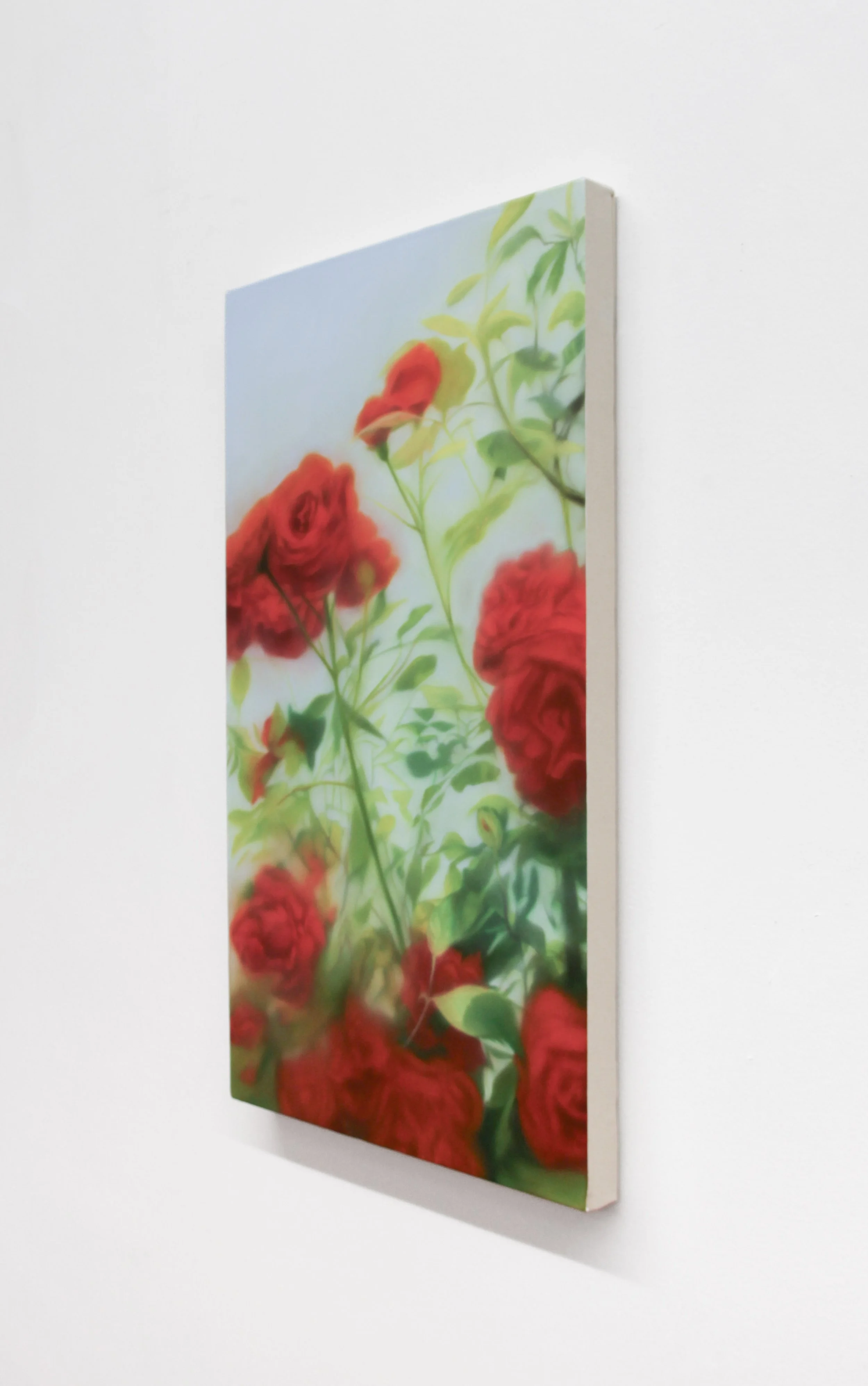  Leslie’s Rose, 2026, oil on canvas, 28 × 16 in 
