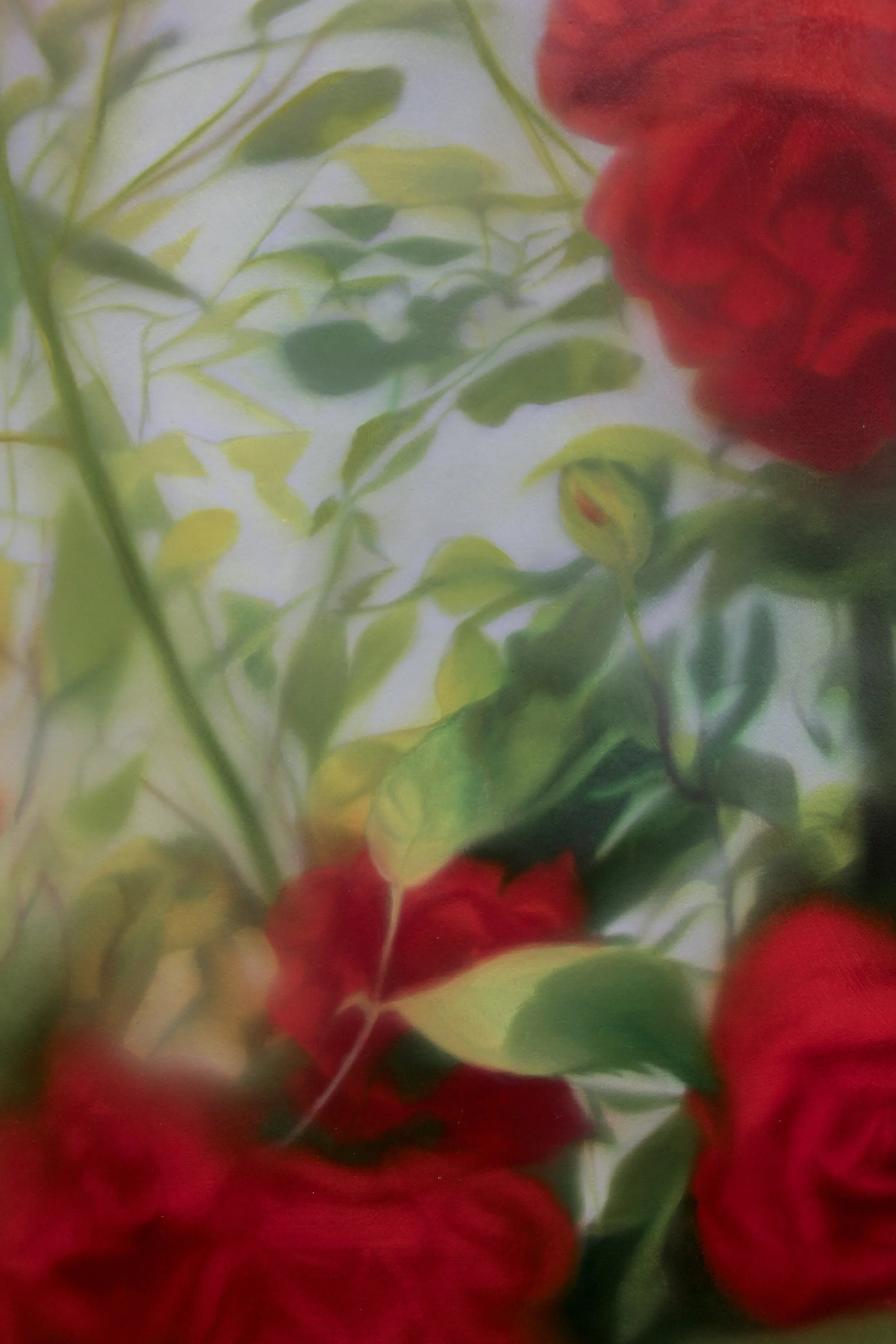  Leslie’s Rose, 2026, detail 
