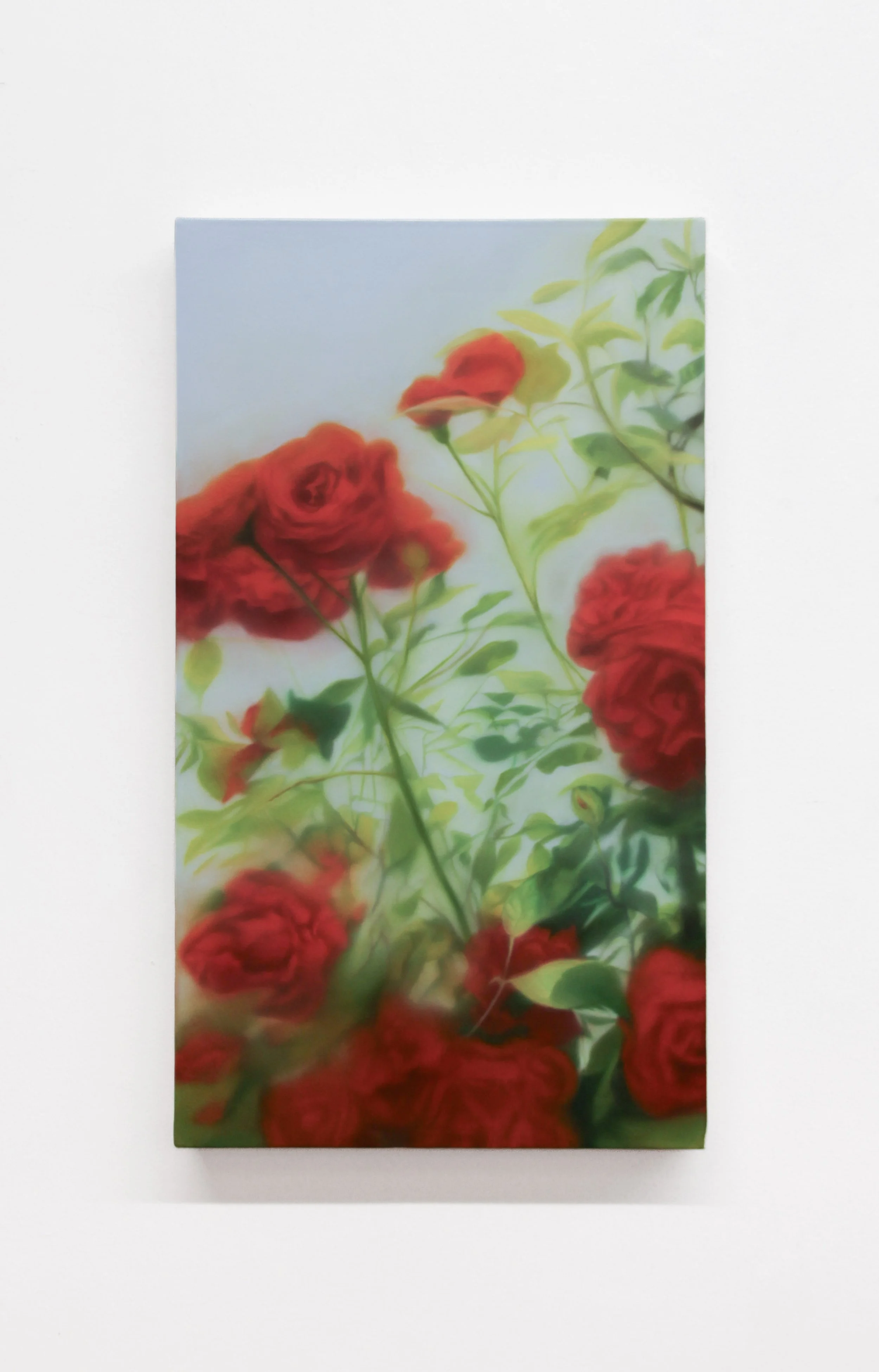  Leslie’s Rose, 2026, oil on canvas, 28 × 16 in 