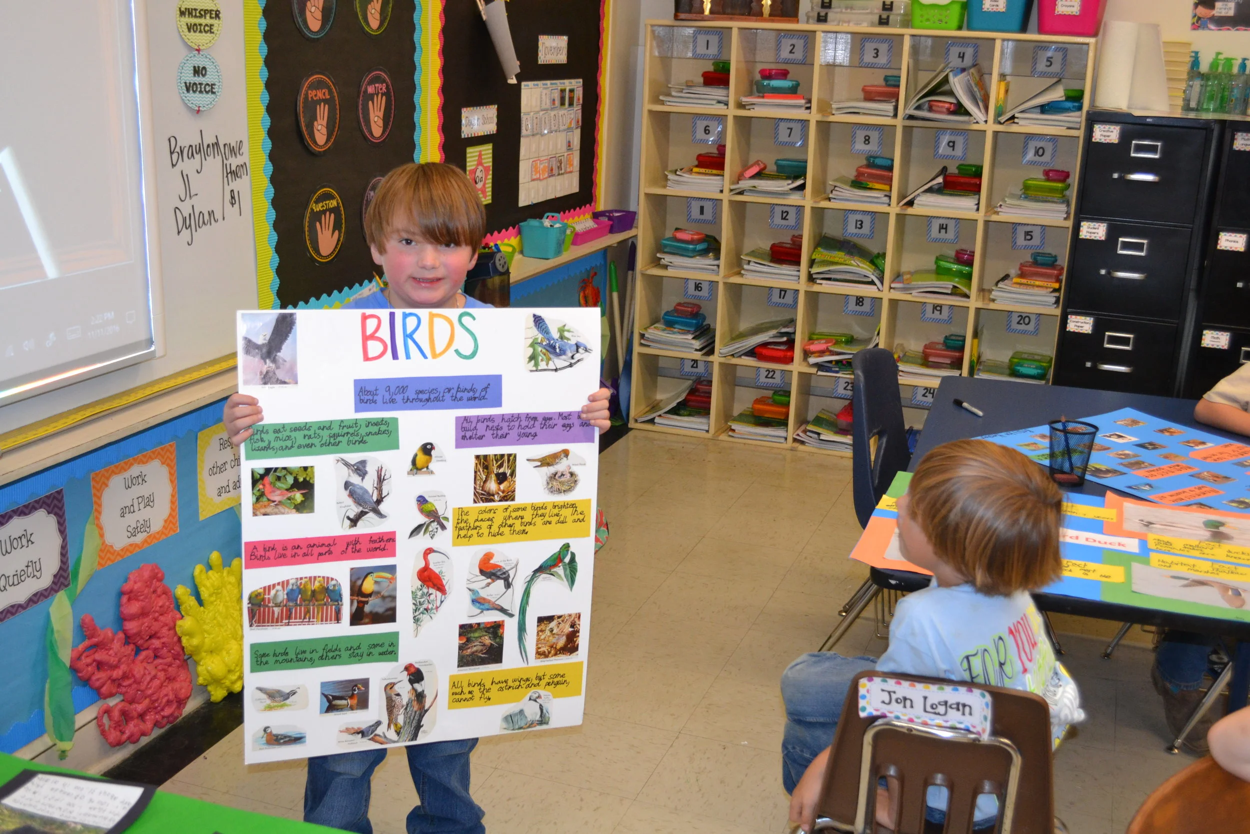 2nd grade animal poster project