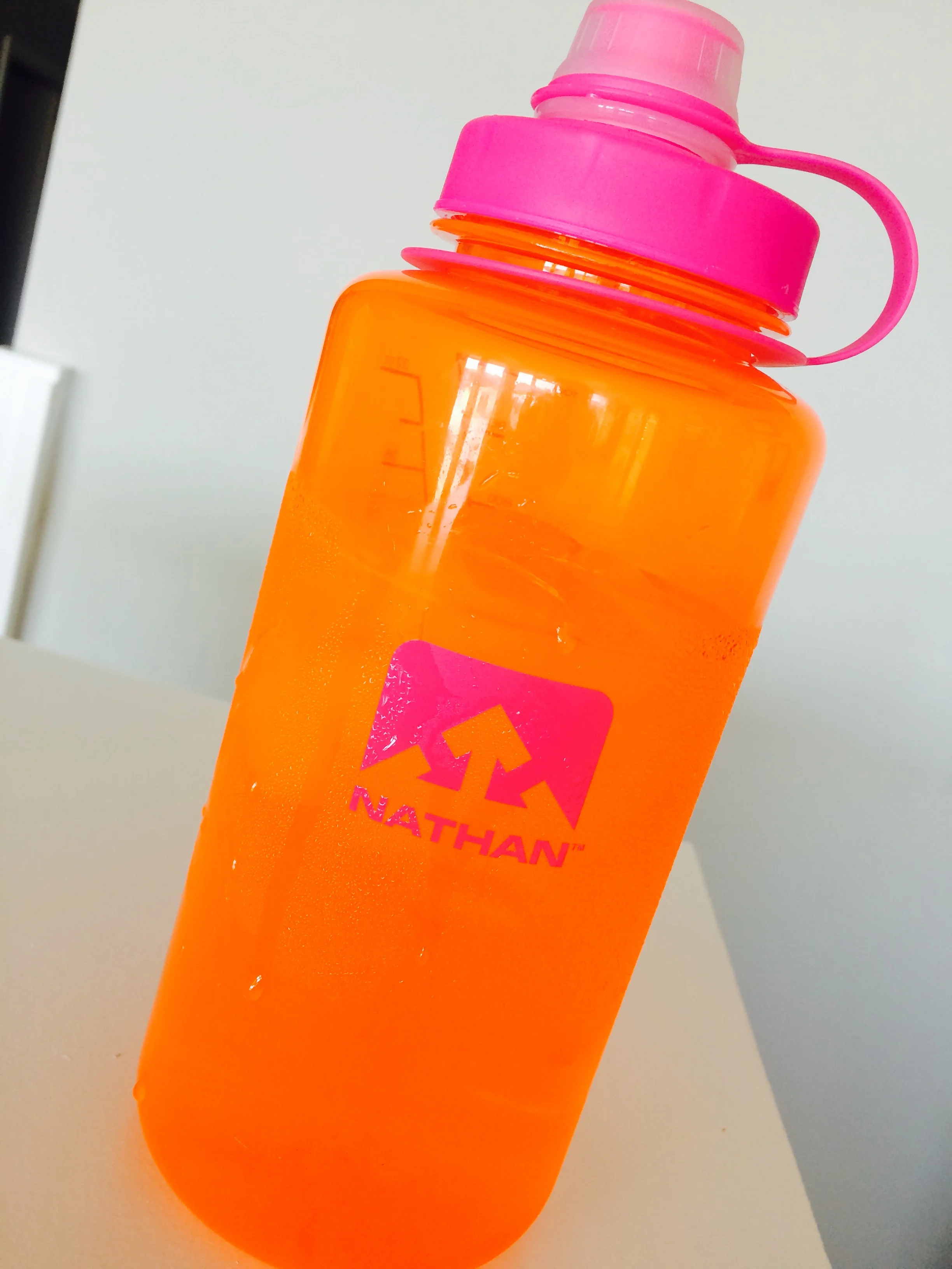 GOOD OLD HIGH QUALITY H2O BY: DR. RACHEL STEINER