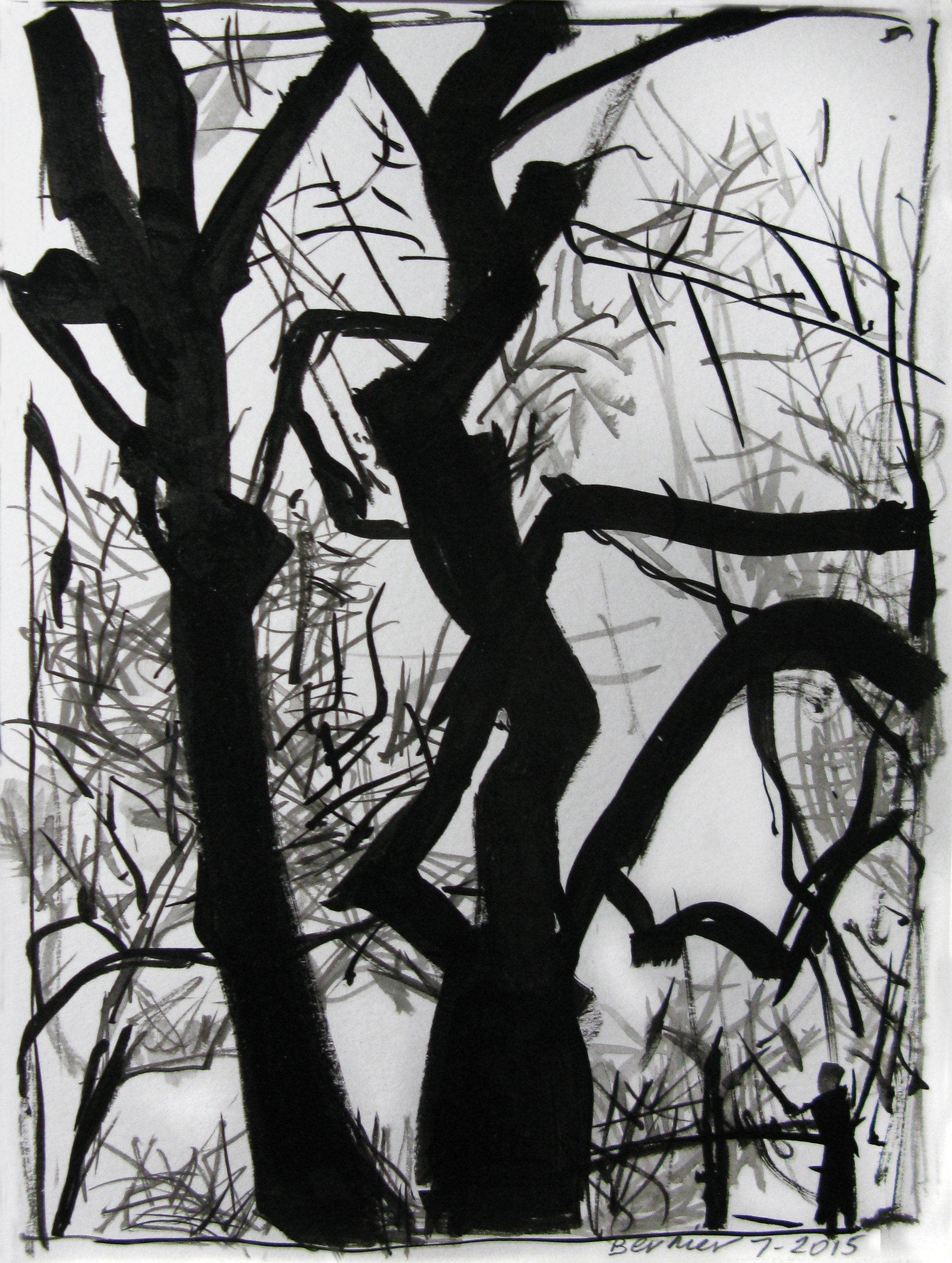    Central Park Trees,   ink, 11 3/4 x 9 1/2 in, 2015 