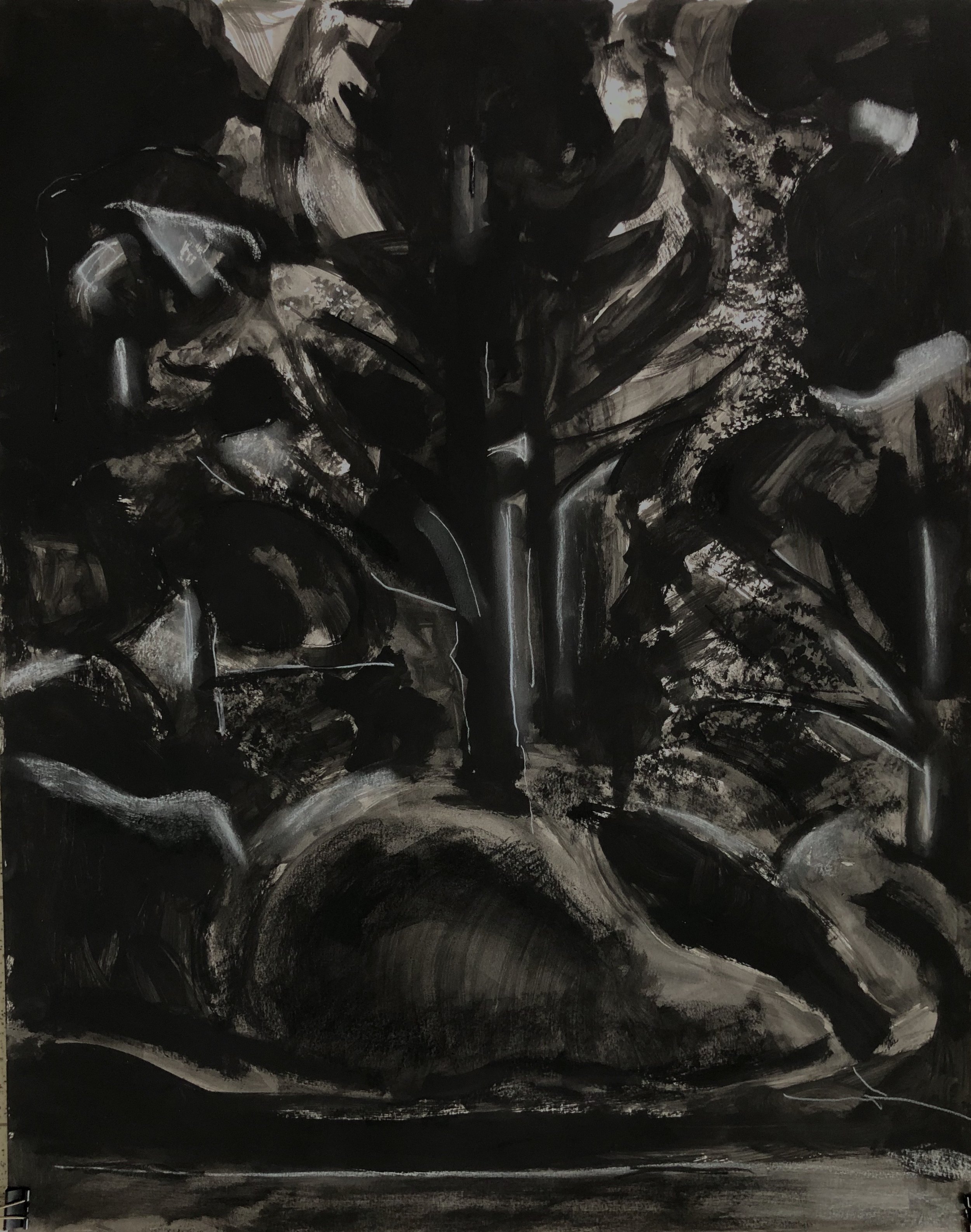    Dark Woods II,   ink and charcoal, 24 x 19 in, 2020 