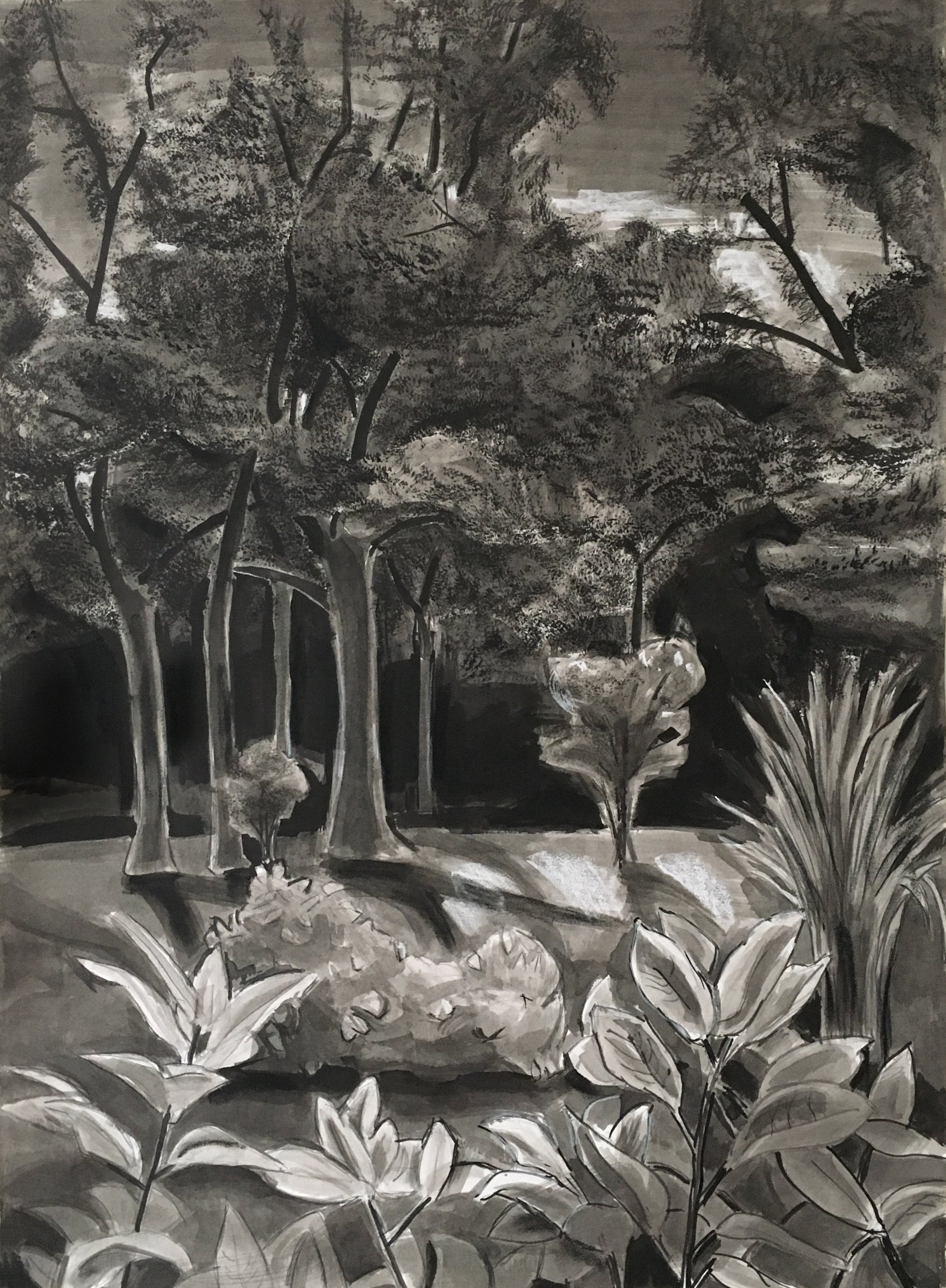    Moonlit Backyard,   ink and white conte, 24 x 19 in, 2020 