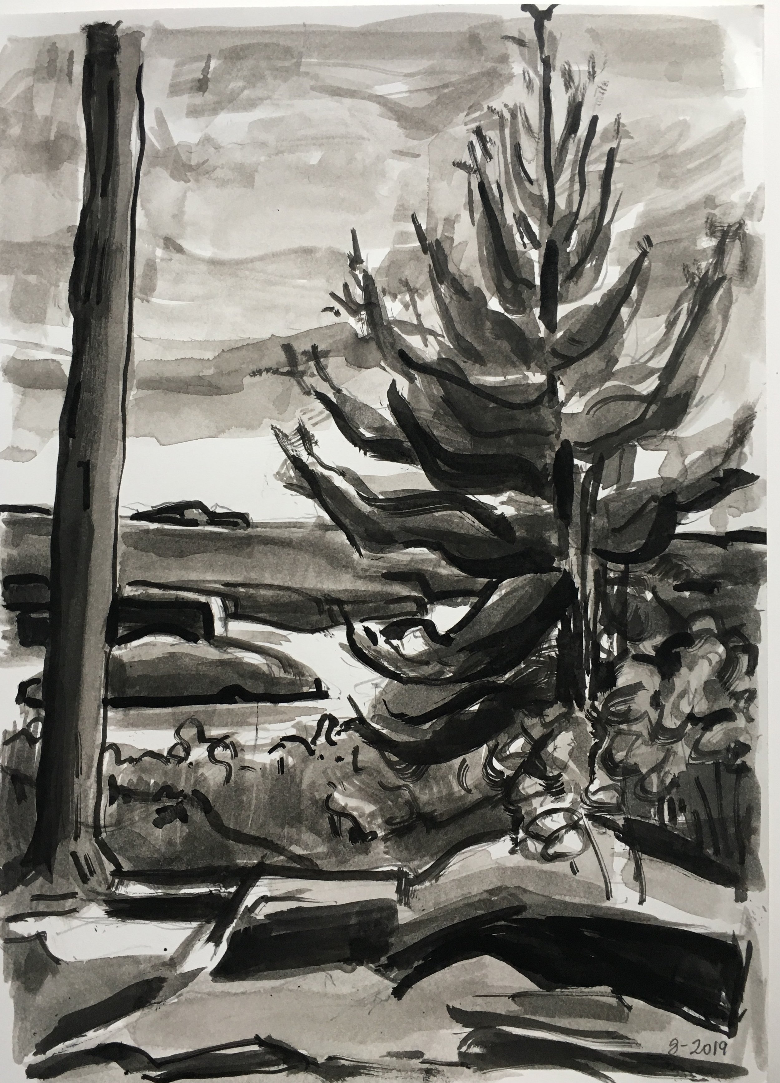    Pine with View of Saugatuck Reservoir,   sketch, ink, 2019 