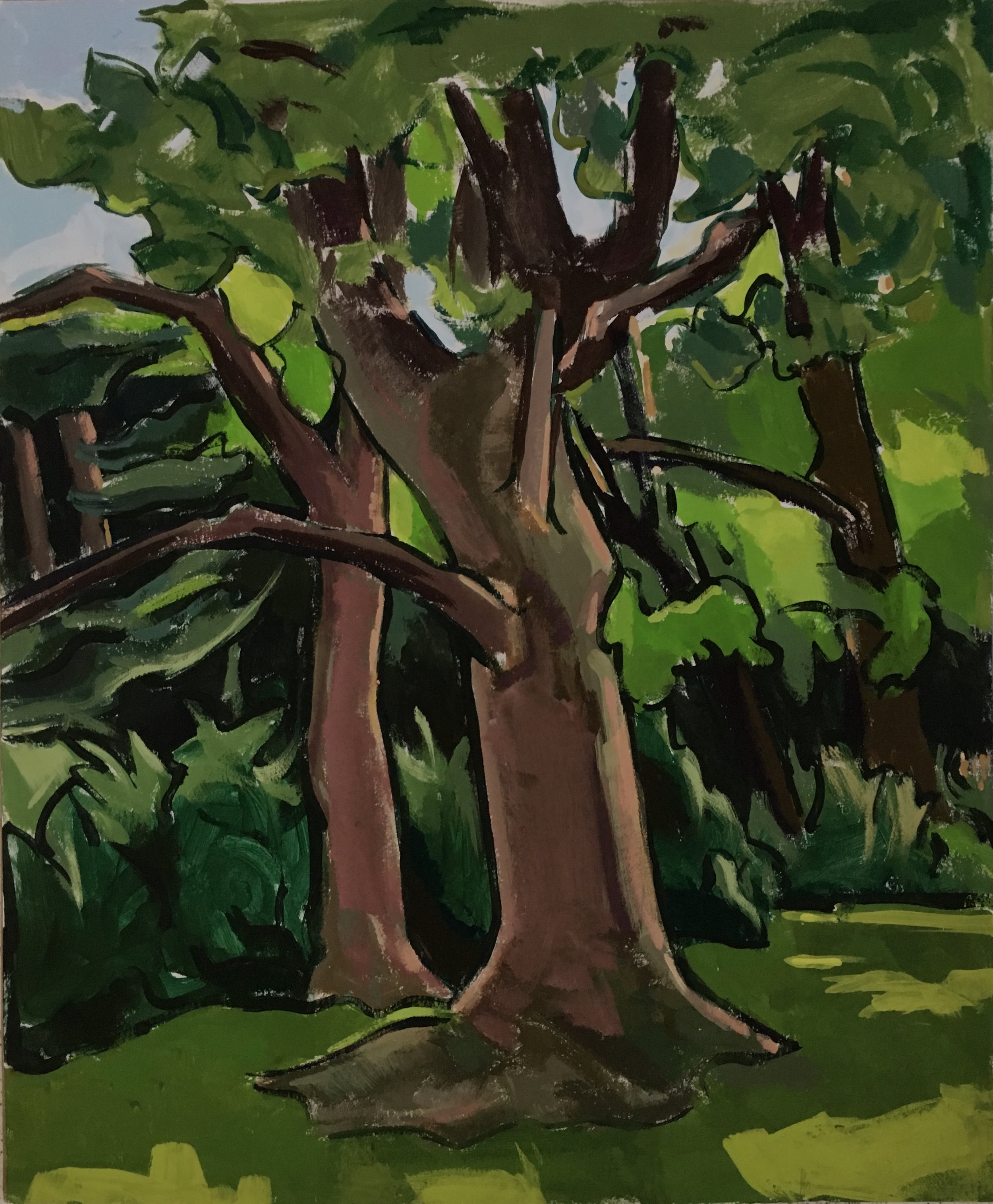    Backyard Tulip Tree,   gouache, 2019 