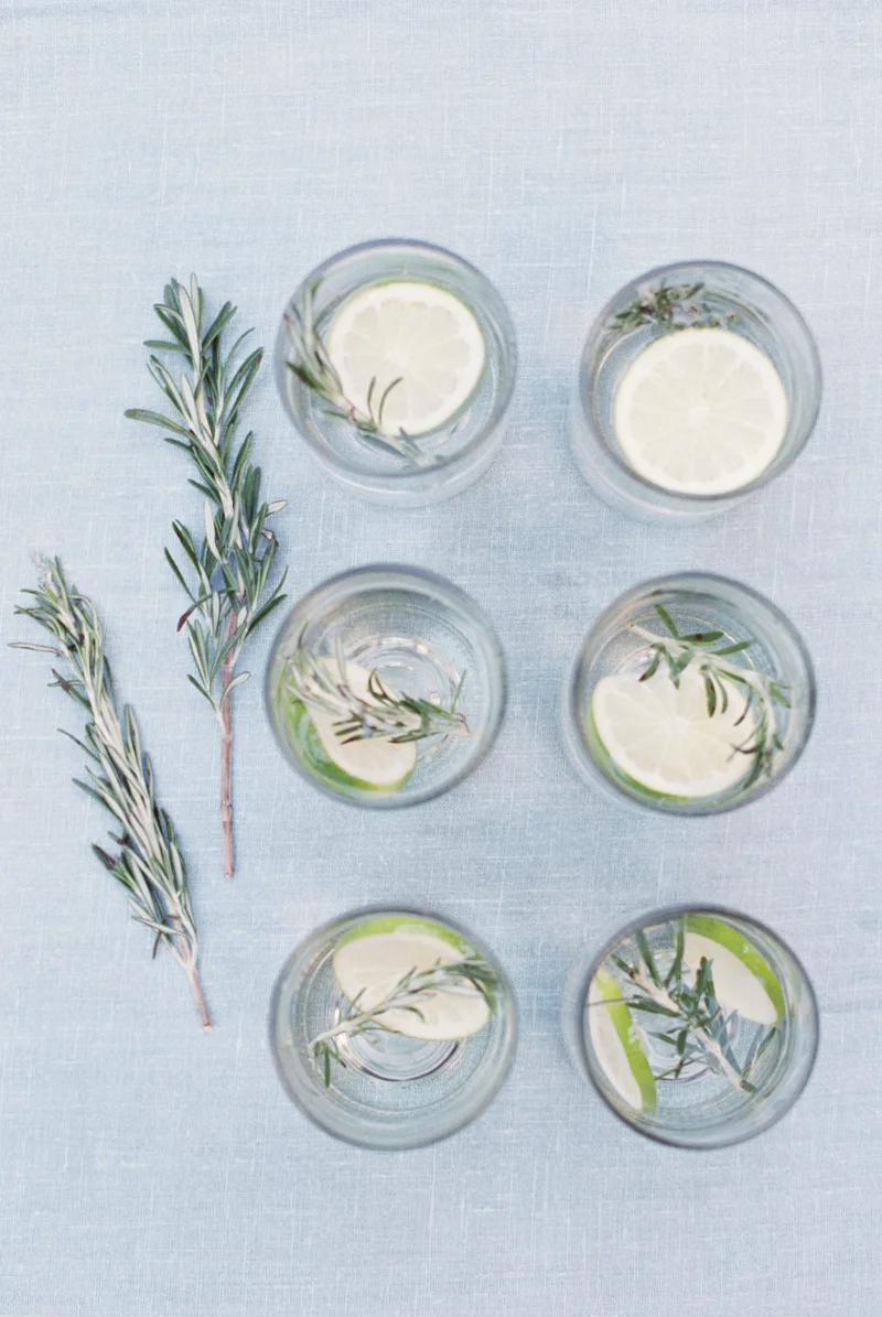 Charleston-Wedding-Inspiration-Live-View-Studios-+-Rebecca-Rose-Events-Beverages-with-Rosemary.jpg