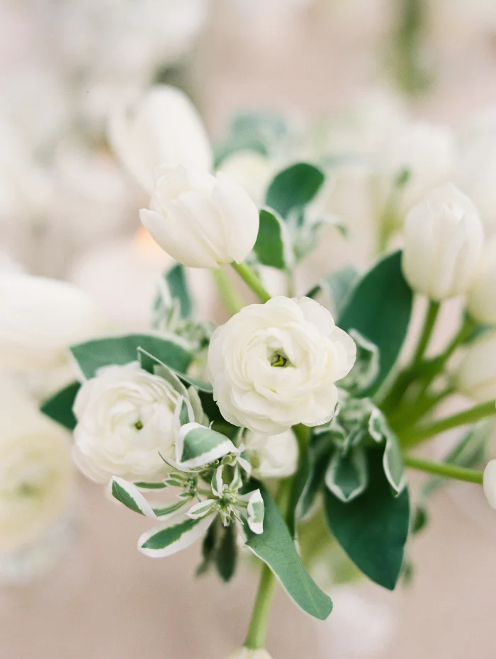 Lowndes-Grove-Wedding-Lucy-Cuneo-Photography.Rebecca-Rose-Events-8.jpg