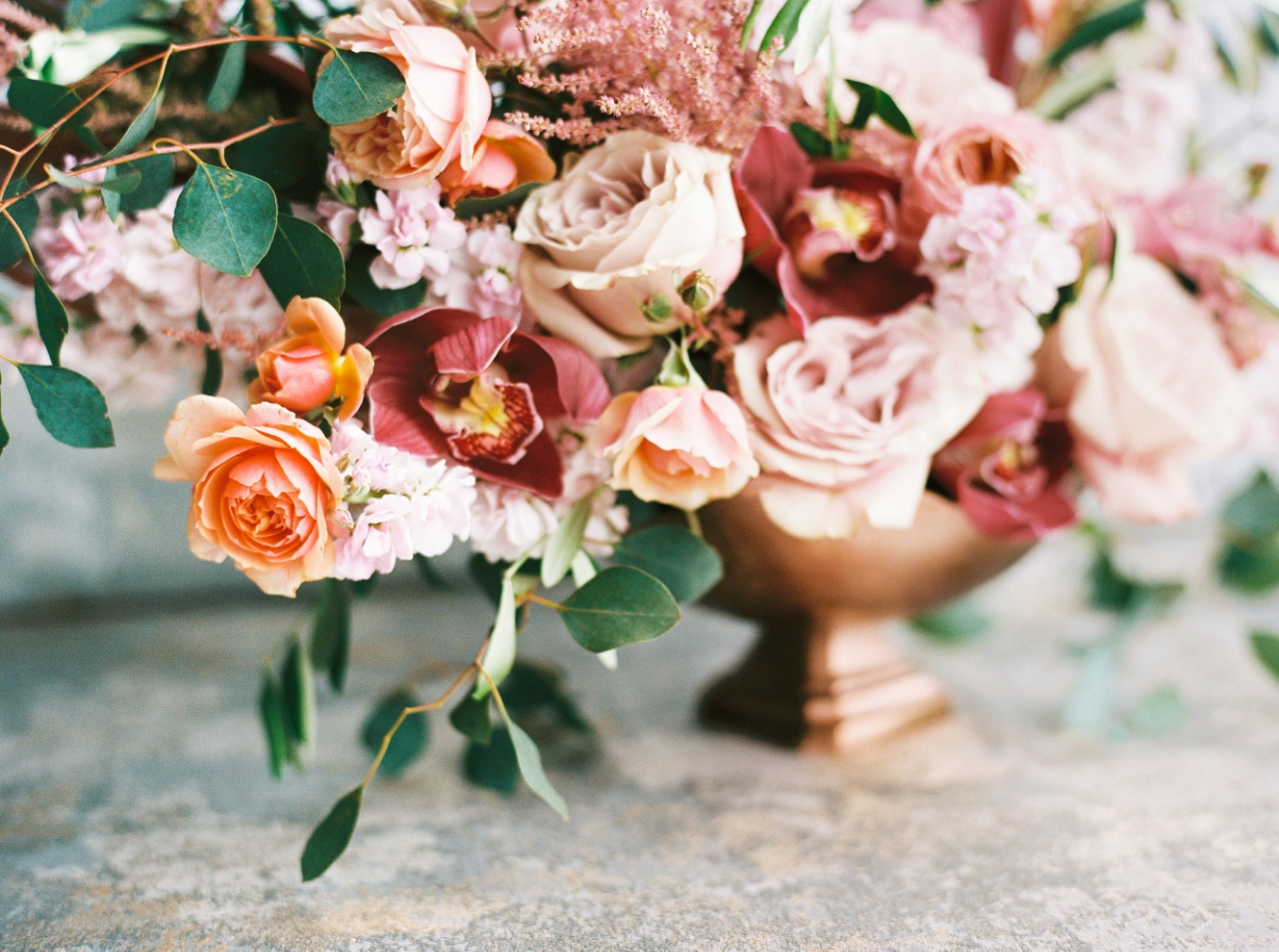 Perry Vaile Photography