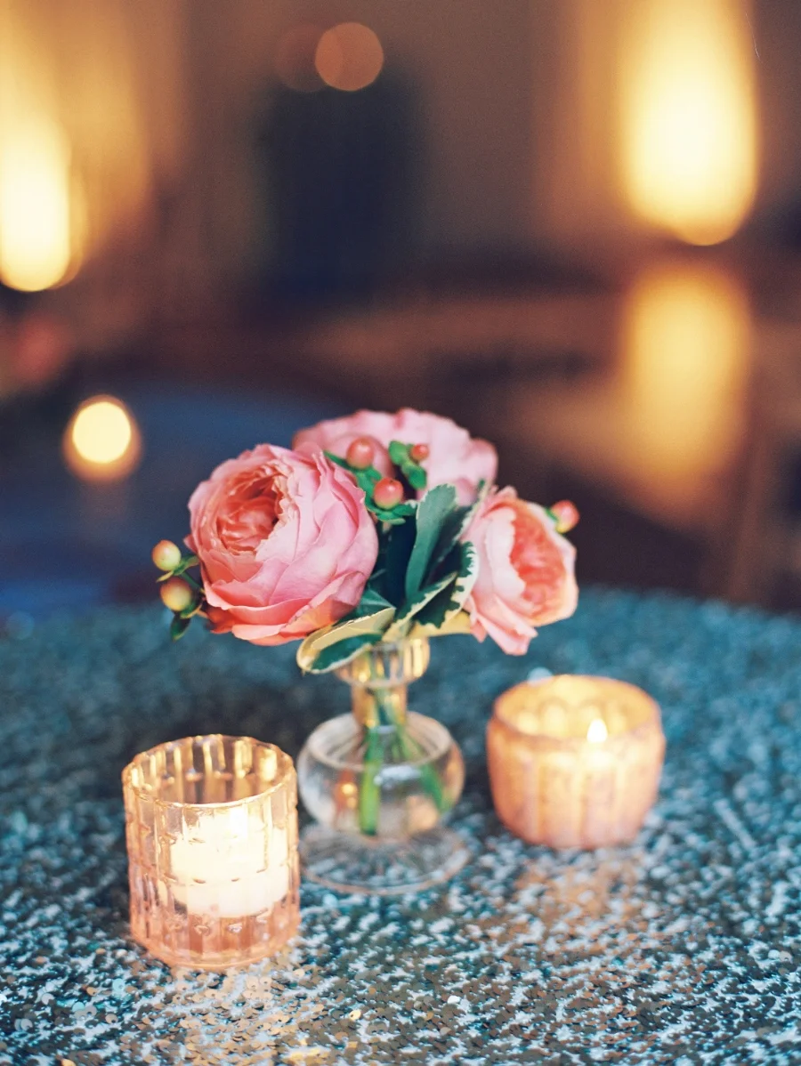 Nancy Ray Photography