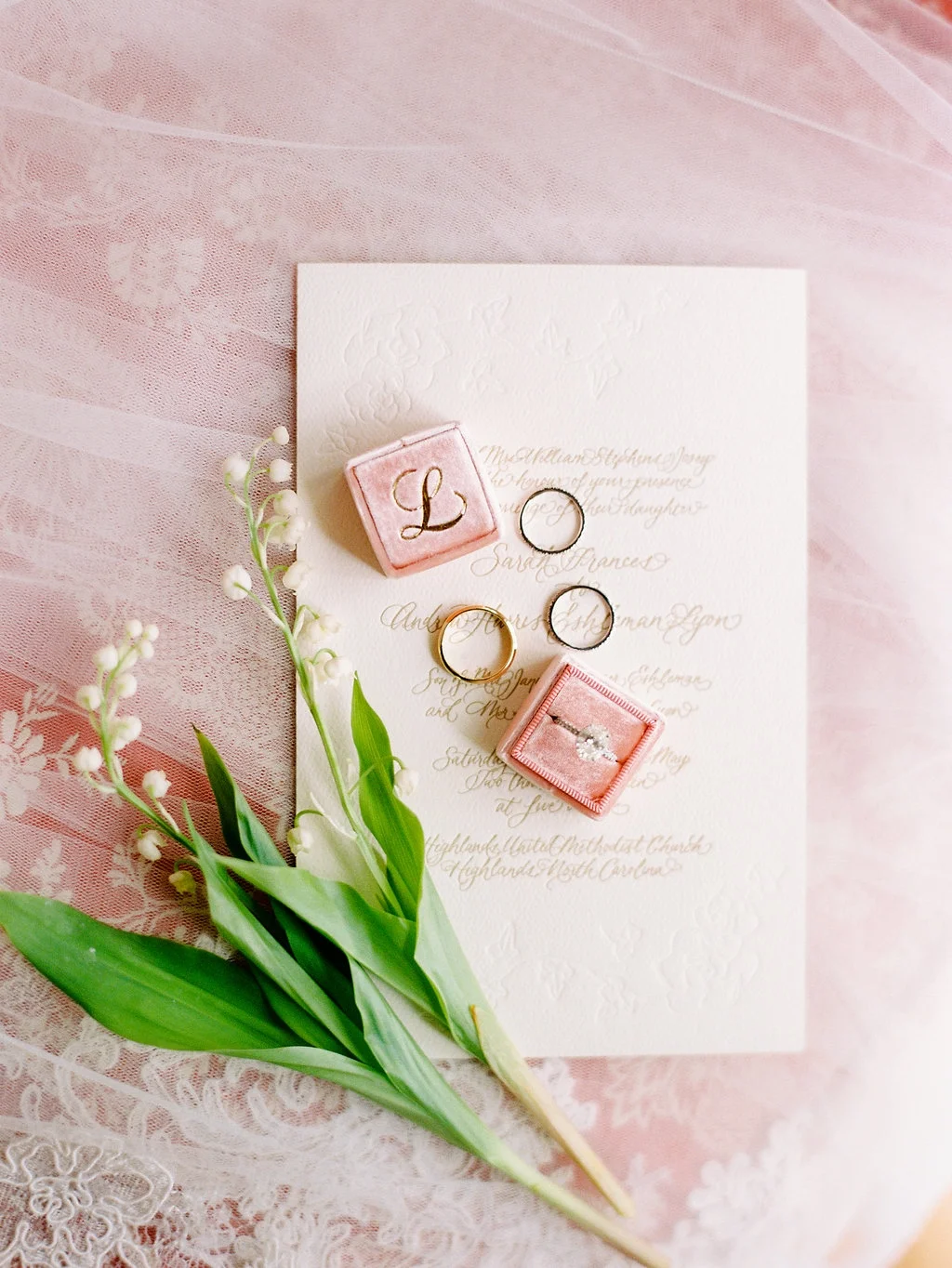 Nancy Ray Photography