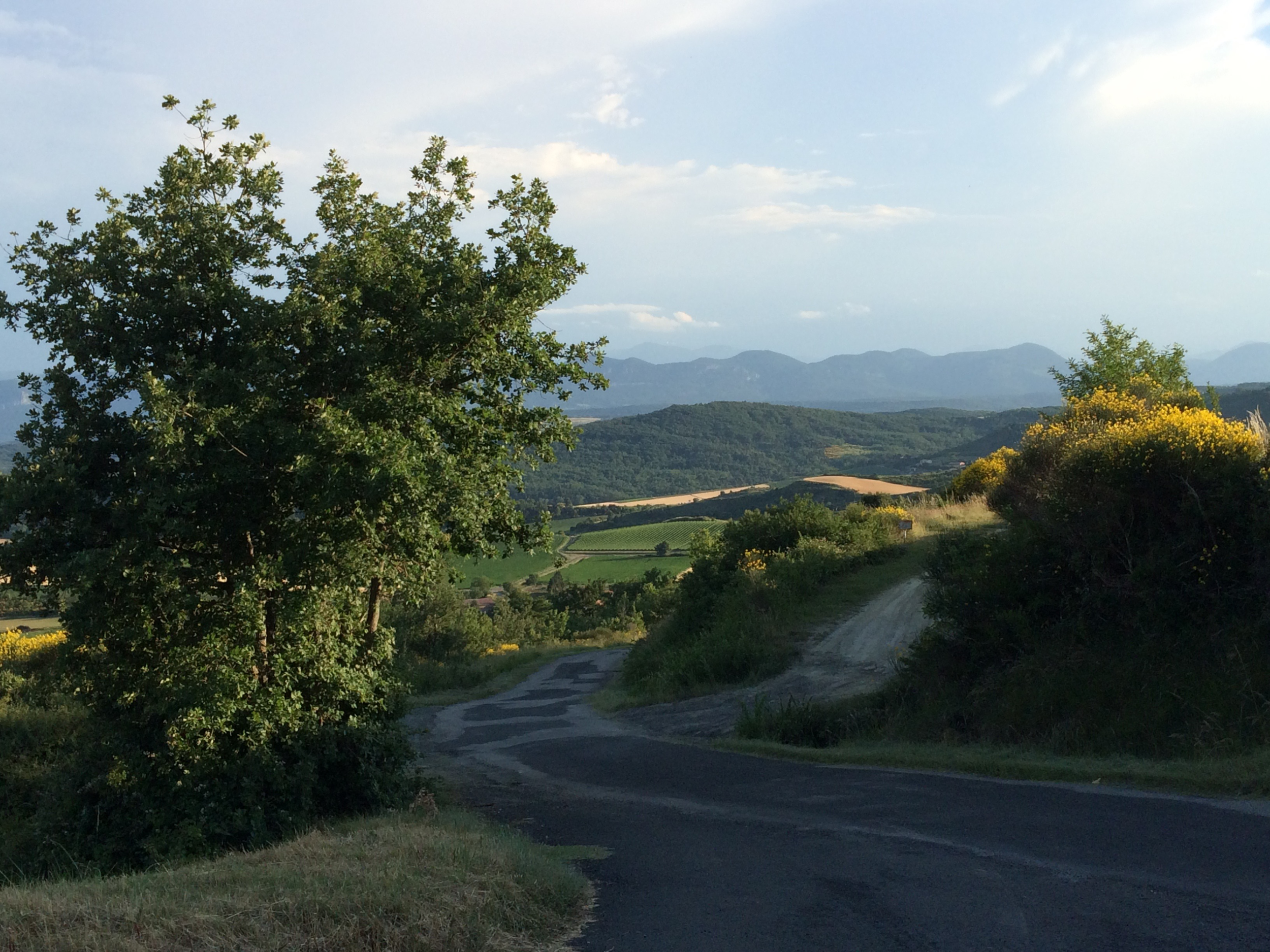 Countryside.png