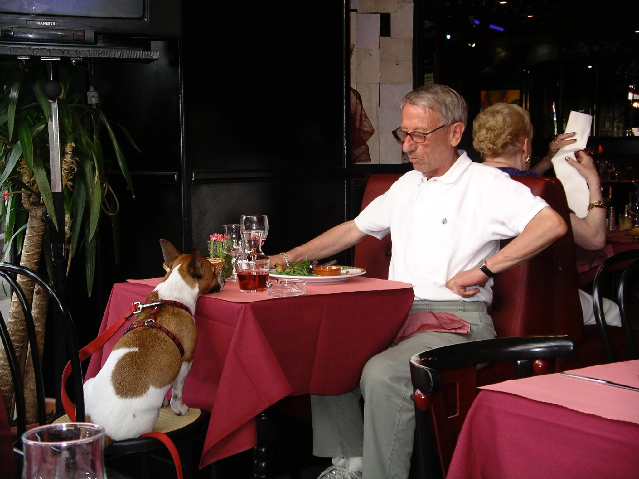 His Master's Voice