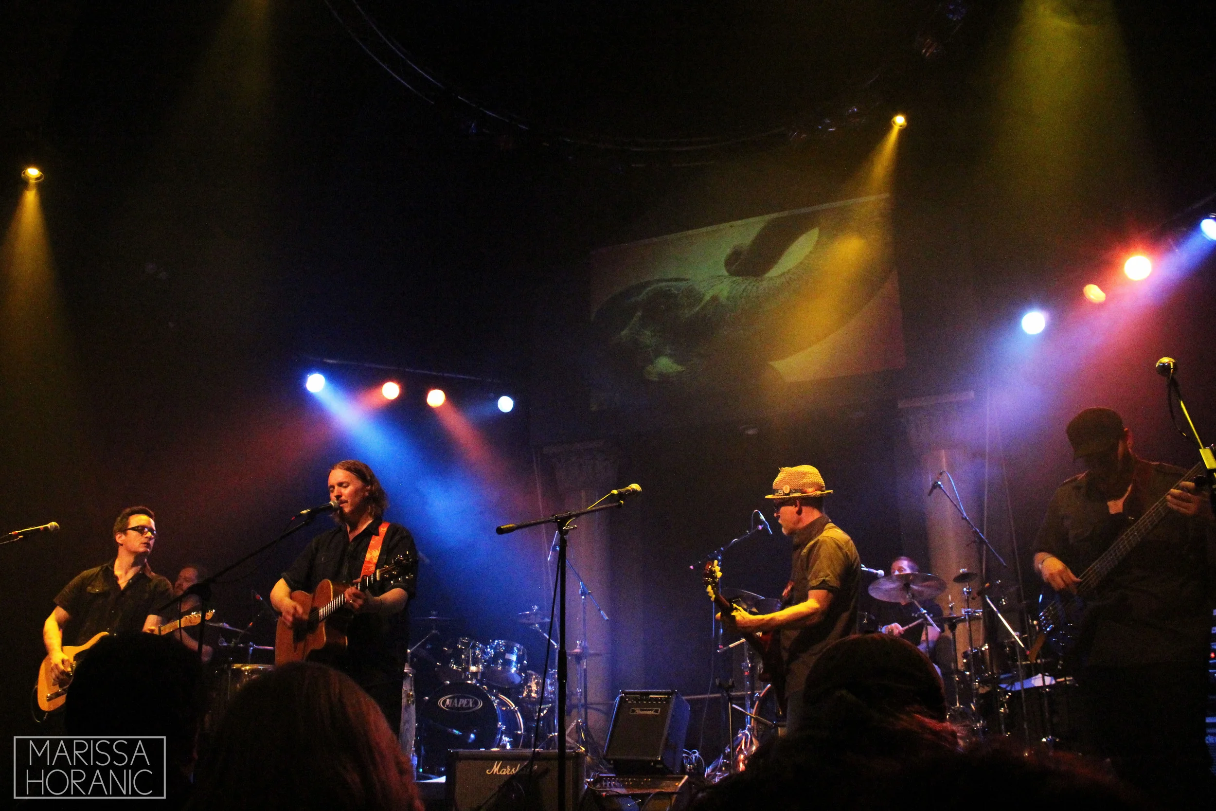 IMG_2010.jpeg