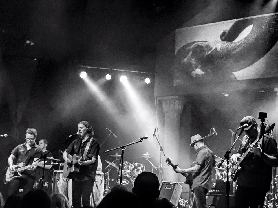 Great live band shot March 2016 SKW.jpg