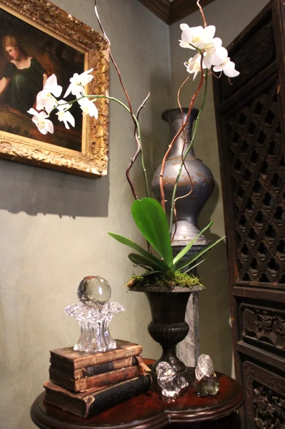 A single orchid can dress up a room like no other.