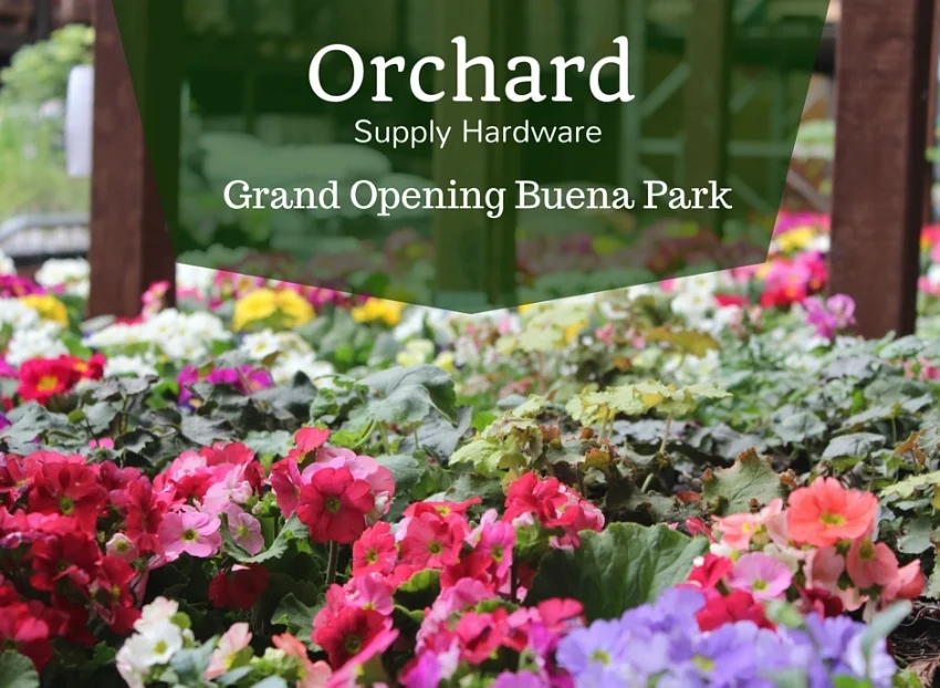 Grand Opening Orchard Supply Hardware