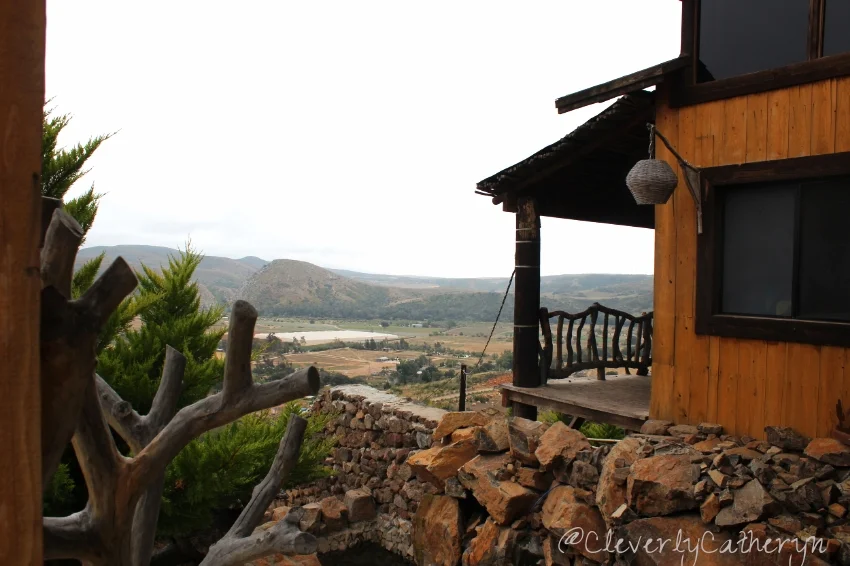Wineries of Valle De Guadalupe Part Dos — Cleverly Catheryn