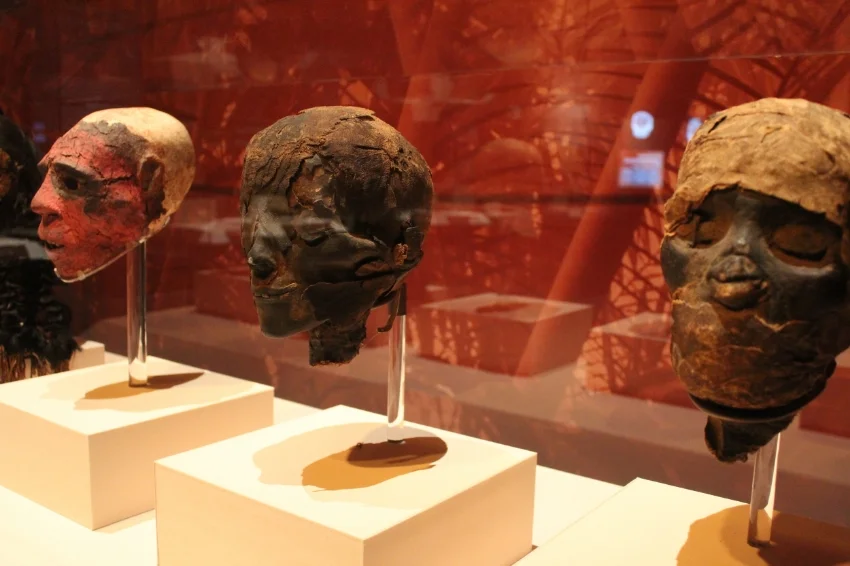 Mummies of the World Exhibit Bowers Museum