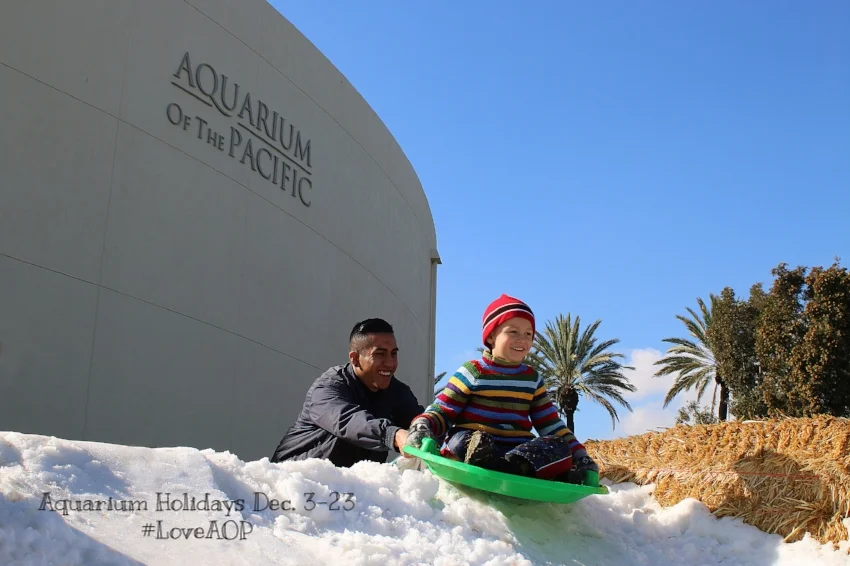 Aquarium of the Pacific Holidays are Here