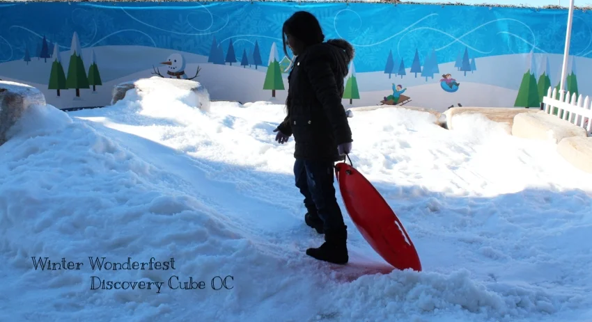 Winter Wonderfest is Back Discovery Cube