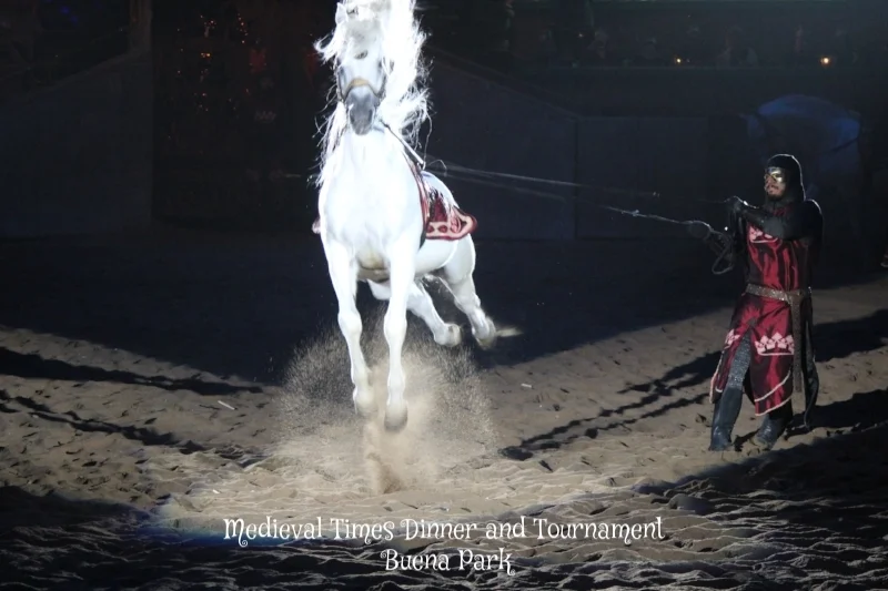 Chivalry is still alive at Medieval Times