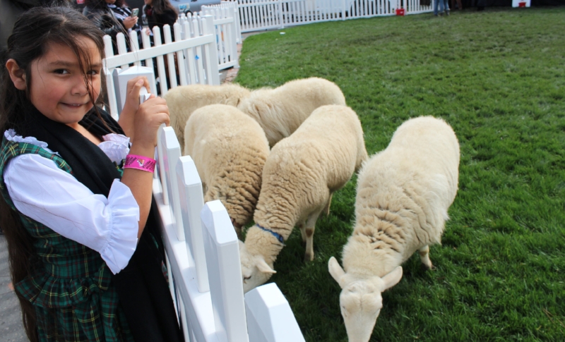 Celebrate Scottish Heritage at the Queen Marys Scotsfestival 