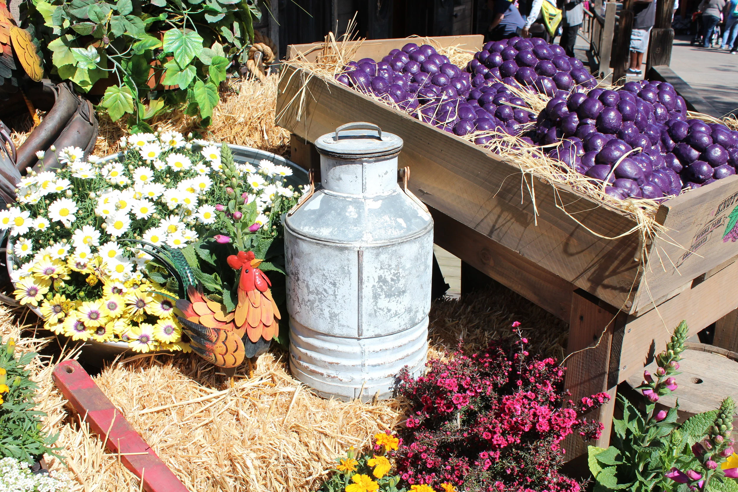 Make it a Date at Knott's Berry Farms Boysenberry Festival — Cleverly