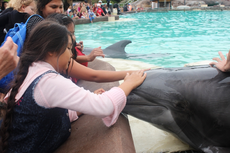 See Seaworld in a Whole New Way