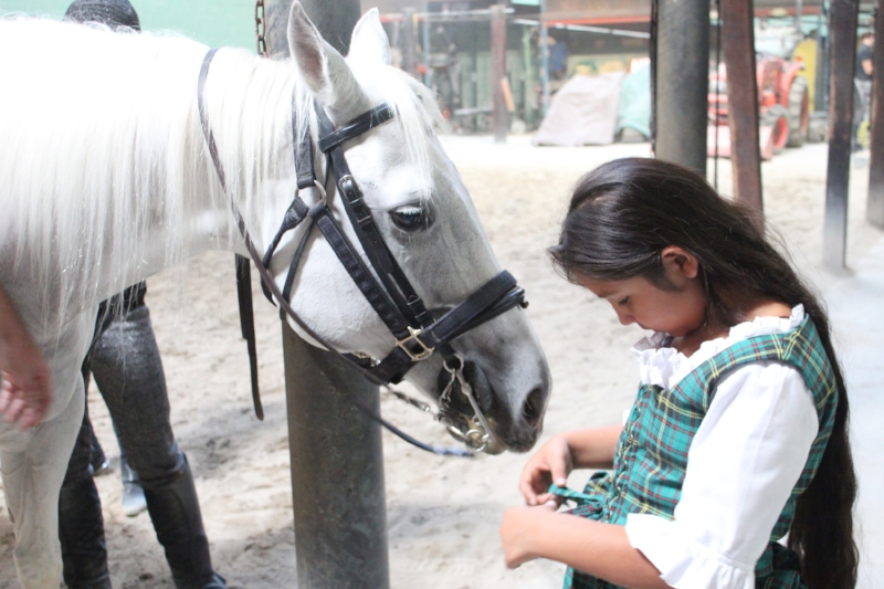 Behind the Scenes at Medieval Times 