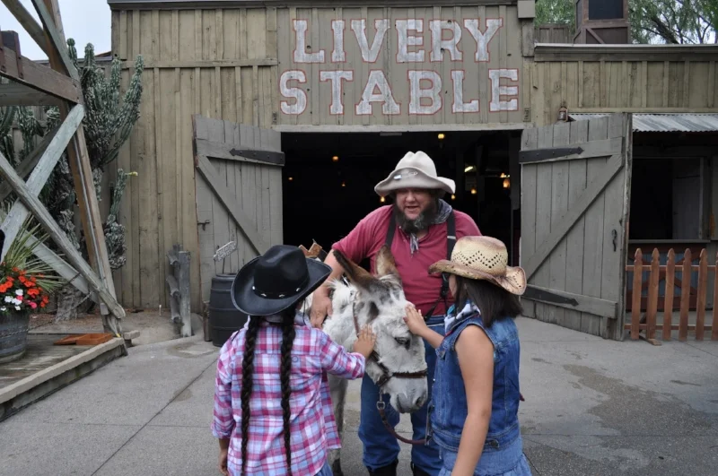 Knott's Berry Farm Annual Passes for Seasons of Fun — Cleverly Catheryn