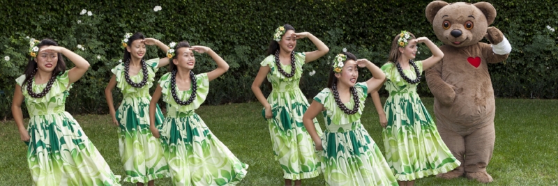 Luau_Hero_Image_1-01-1.jpg