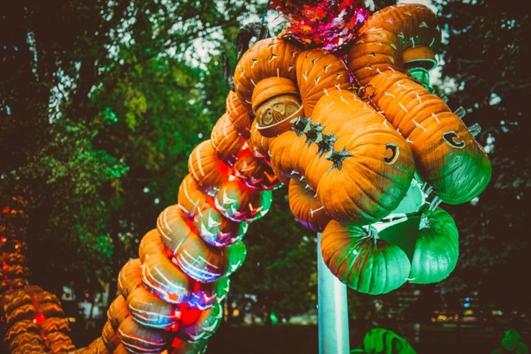 Pumpkin Nights at Pomona Fairplex — Cleverly Catheryn