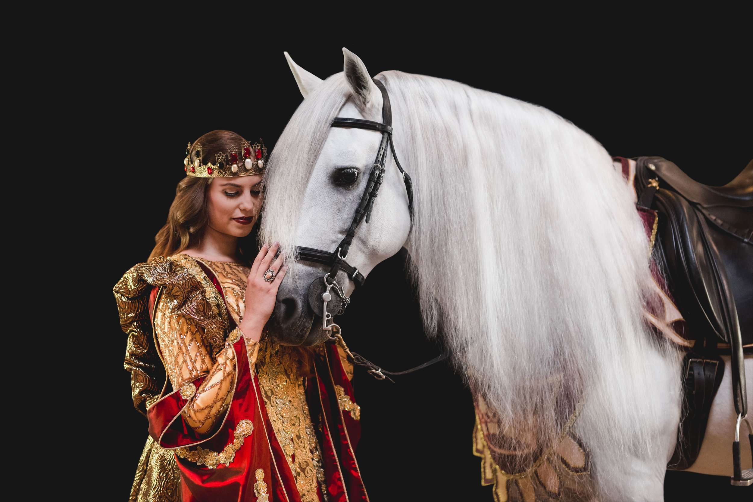 Celebrate Valentines Day at Medieval Times