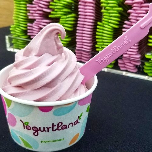Yogurtland: Find Your Flavor
