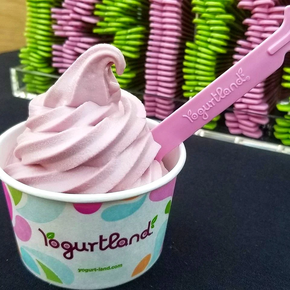 What Goes into The Making of a New Yogurtland Flavor — Cleverly Catheryn