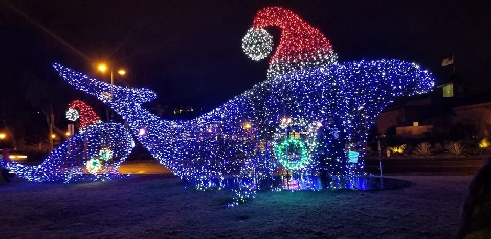 Hasting Ranch Christmas Lights 2021