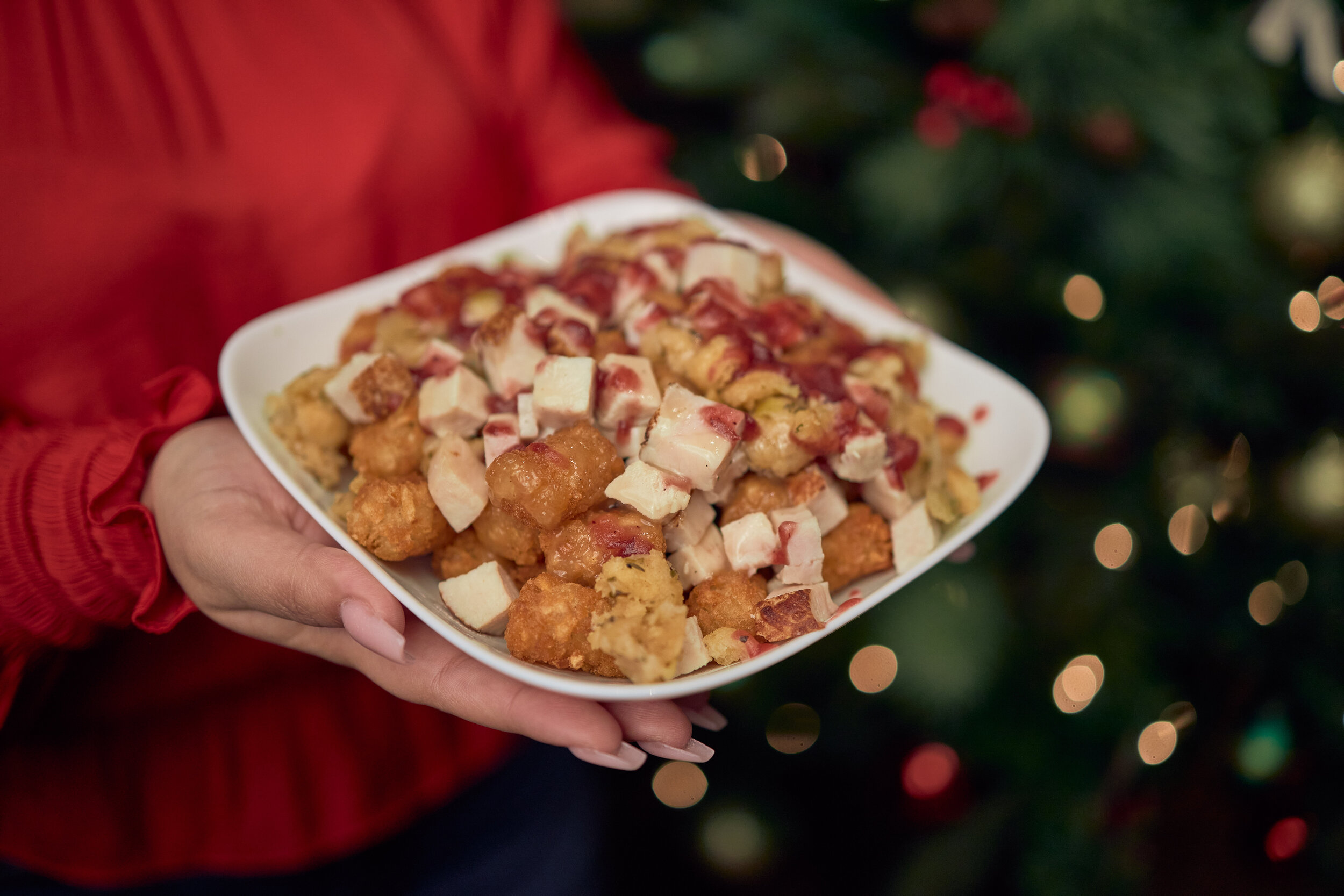     Sign in Sign up  Turkey Dinner Tater Tots, TurkeyStuffing, Gravy and Cranberry