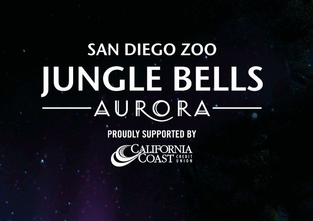 JOURNEY to JUNGLE BELLS at the SAN DIEGO ZOO - Limited Time
