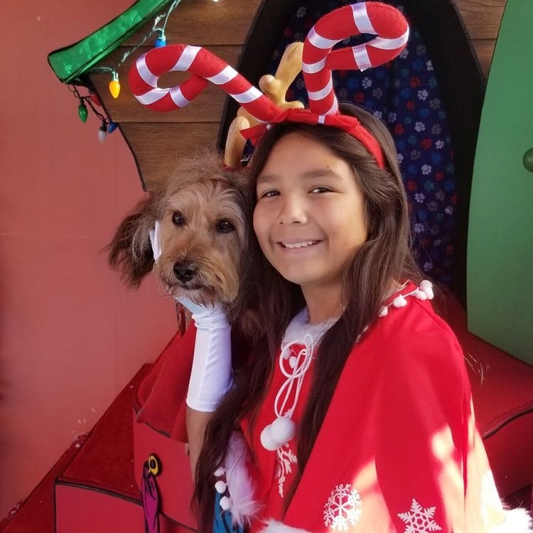 Max+the+Dog+at+Grinchmas+Universal+Studios+Hollywood+(c)+Cleverly+Catheryn.jpeg