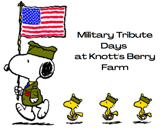 Veterans day bank holiday schedule