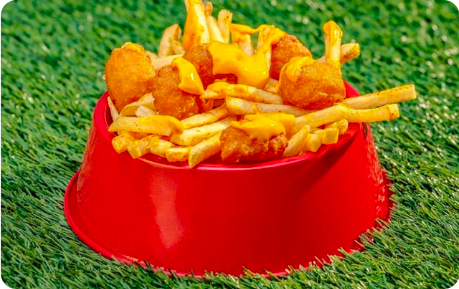 Screen Shot 2026-01-09 at 4.47.01 PM.png