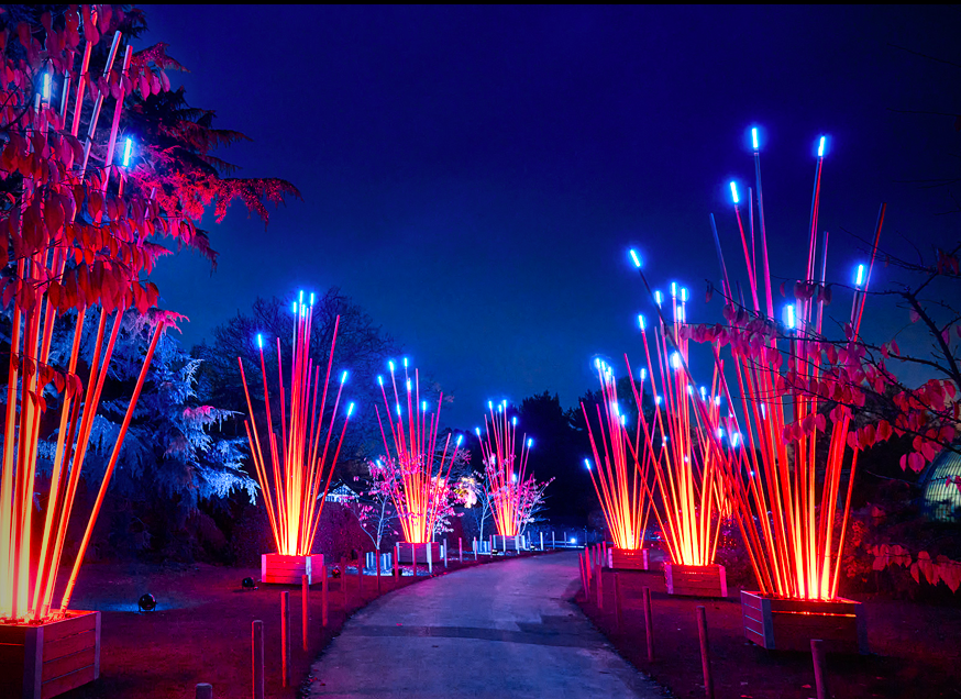 Lightscape returns to the LA Arboretum in Arcadia this Holiday Season