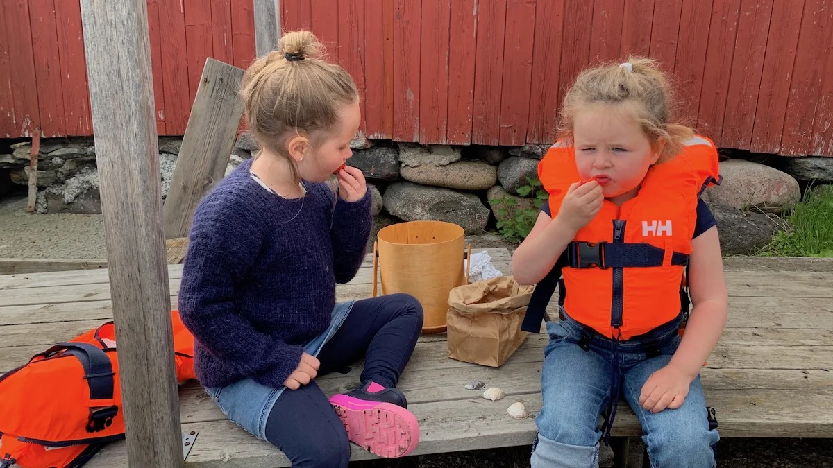 Norske jordbær trenger egentlig ikke noe tilbehør, men hvis du først smaker det med hjemmelaget crumble, kan du fort få en ny favoritt.