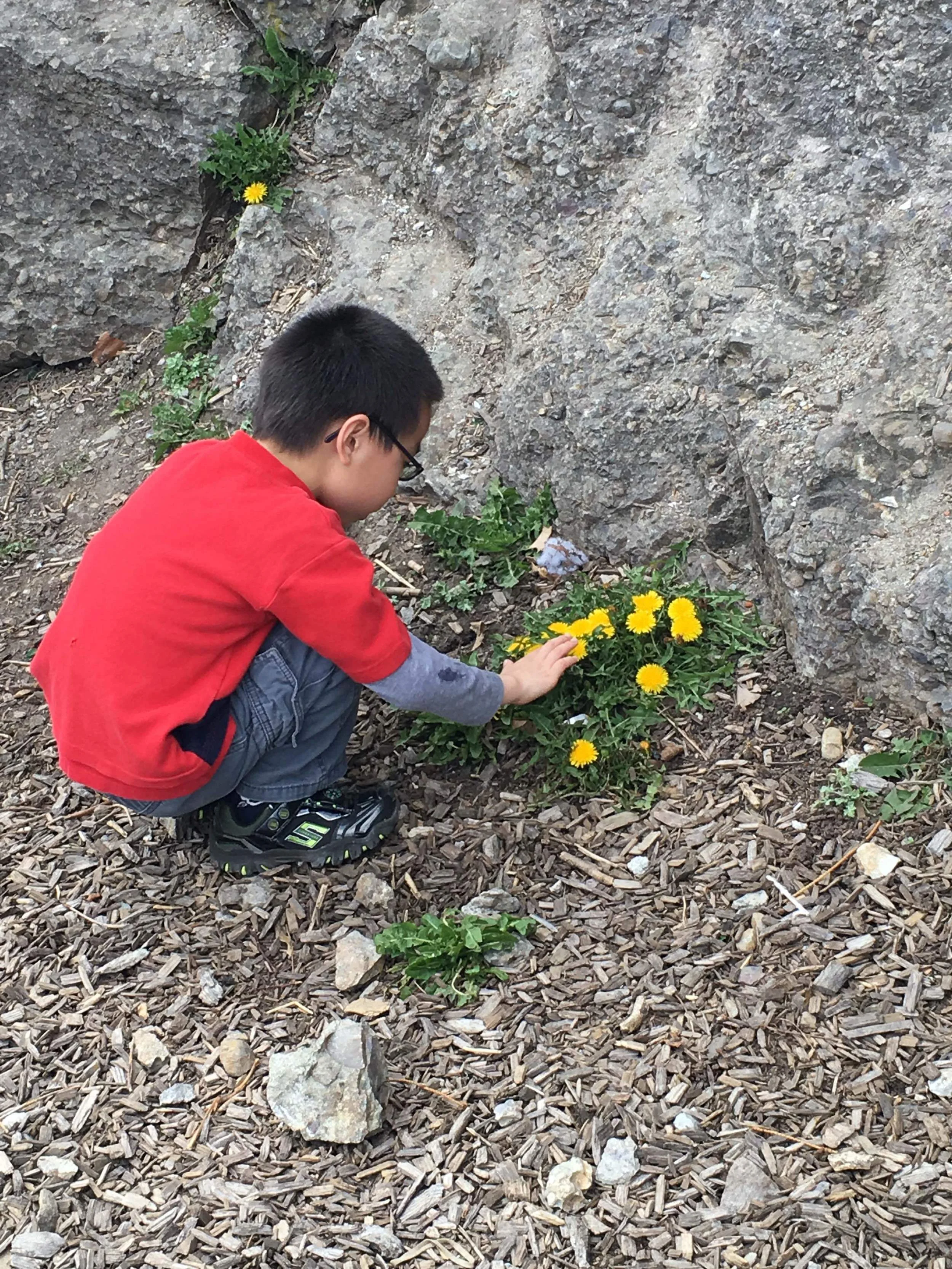 steven and flowers.JPG