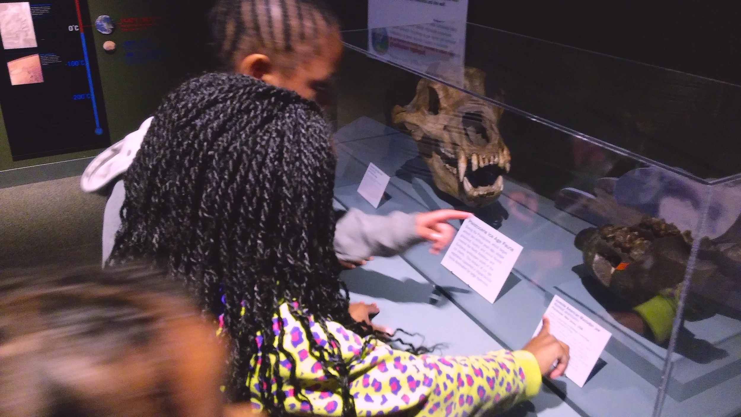 Museum large.jpg