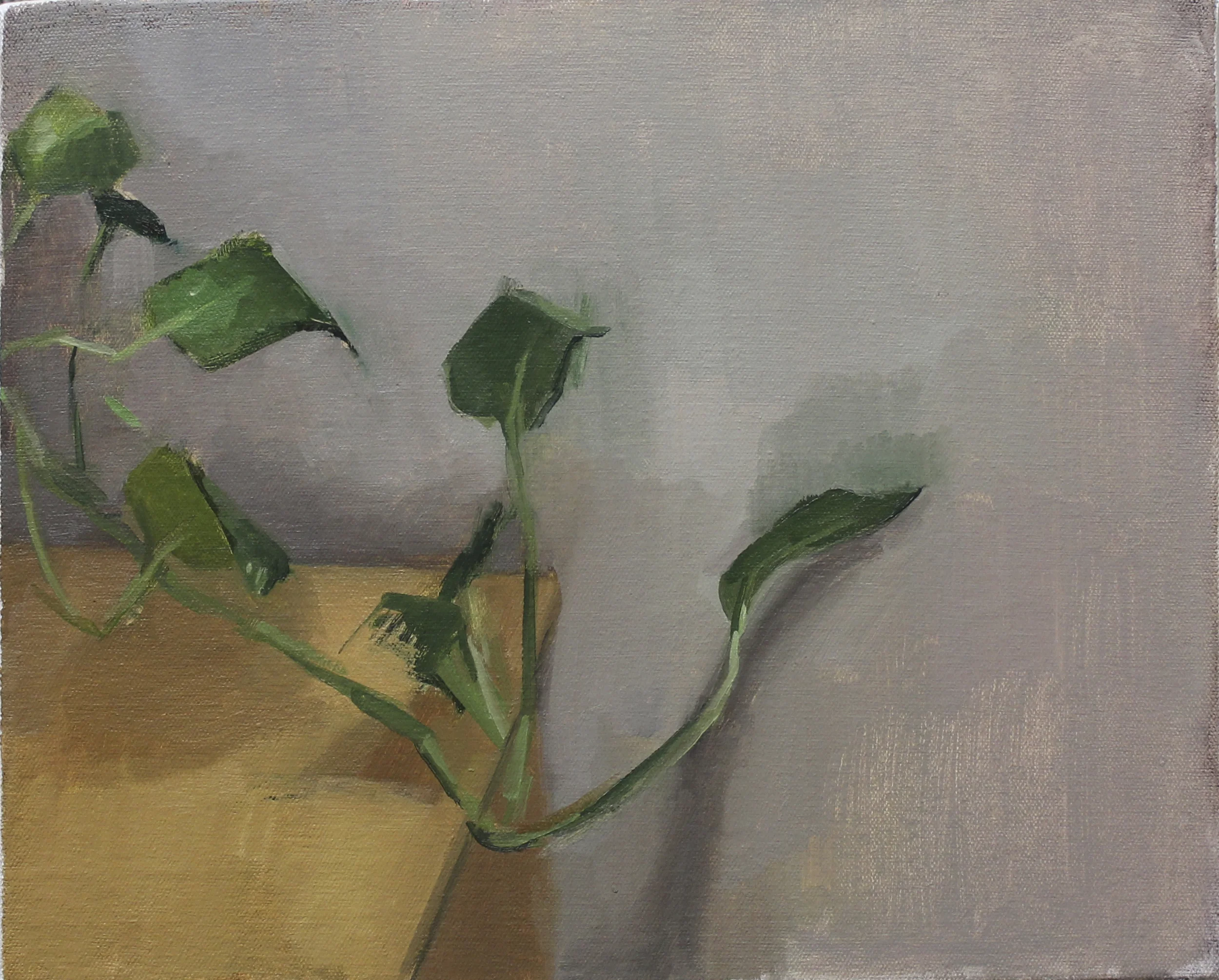 ivy oil on canvas 11x14" 2012
